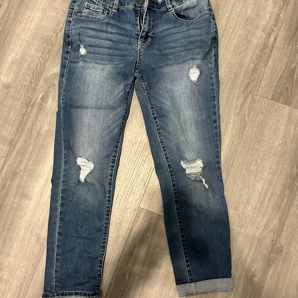 Wallflower Ankle Jeans in Distressed Blue